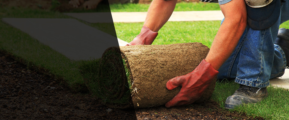Stewart Landscapers